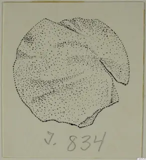 Stippled drawing of an irregular, rounded object, possibly a jewellery fragment, on a pale card.
