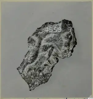 Pottery sherd with circle and herringbone patterns, photographed against a grey backdrop