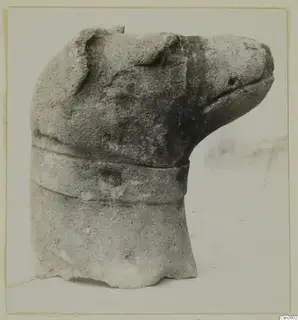 Carved limestone animal head with a raised band around the neck, a minor plastic find