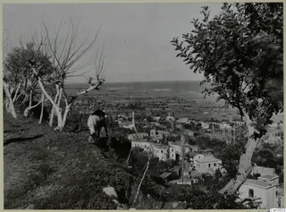 Lapithos seen from a hillside, with a grazing animal, bare and leafy trees, houses below and the sea beyond