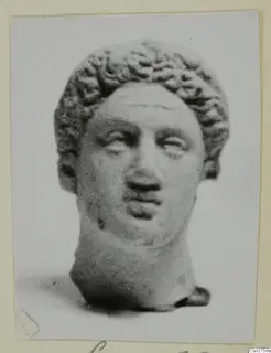 Head with tightly curled hair and a broad face, a minor plastic find shown in a photograph on a card mount.