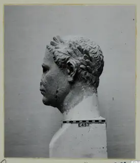 Roman stone head in profile with curled hair, with a scale bar and number label on its base