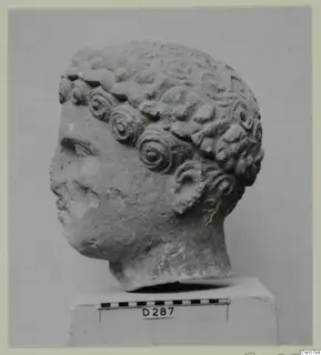 Stone head of a figure with rows of spiral curls, shown on a plinth with a scale bar.