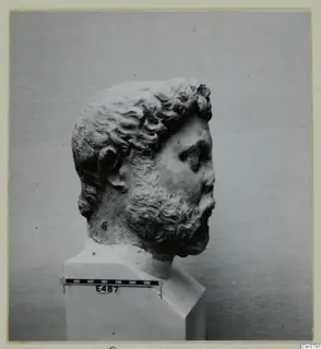 Carved stone head of a bearded man in profile, set on a white plinth