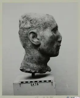 Stone head in profile facing right, with short hair and an ear, on a square stand beside a scale bar and number label