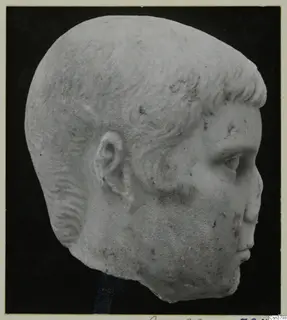 Roman stone sculpture: head of a man with short curled hair, face turned to the right