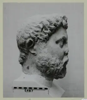 Head of a bearded, curly-haired man carved in stone, shown in right profile on a plinth with a scale bar