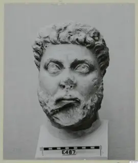 Marble head of a bearded man with curly hair, shown on a square base with a scale bar and number label.