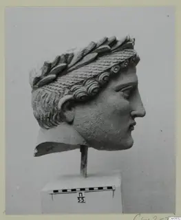 Marble head of a youth wearing a laurel-leaf wreath, shown in profile on a plinth with a scale bar.