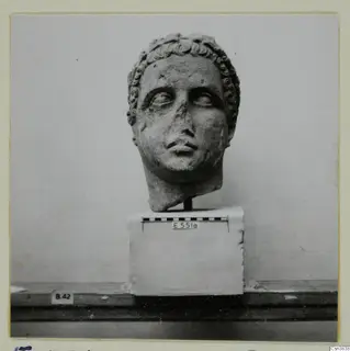 Carved stone head with short curled hair, shown on a white block base with a scale bar