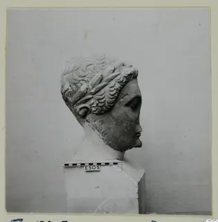 Marble head of a youth with wreathed curly hair, shown in profile on a plinth with a scale bar.
