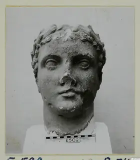 Stone head of a figure with curled hair and a broken nose, photographed from the front