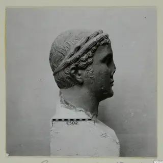 Carved stone head in profile, hair bound by a band of long leaves, set on a white block.