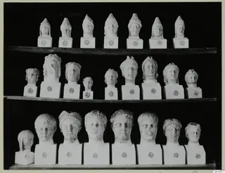 Three shelves of pale sculpted heads on square bases, each base with a round number label, against a black background