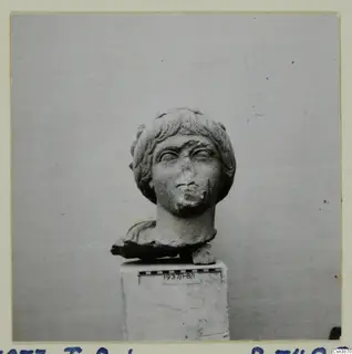 Carved stone head with short curled hair and a fragment of drapery at the shoulder, on a pedestal, against a plain grey backdrop