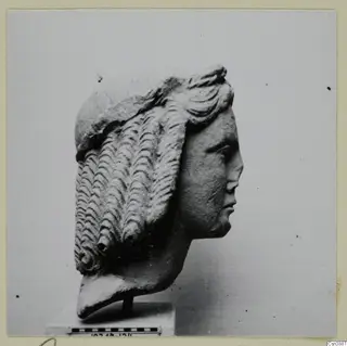 Stone head in profile facing right, with rows of wavy hair falling behind and a band across the crown
