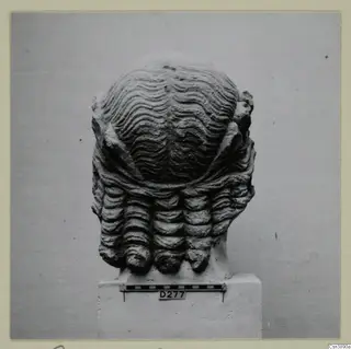 Carved stone head with wavy ridged hair and rows of curled locks, standing on a square plinth beside a scale bar