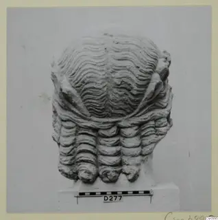 Back of a carved stone head with wavy hair and rows of curled locks at the nape, set on a plinth.