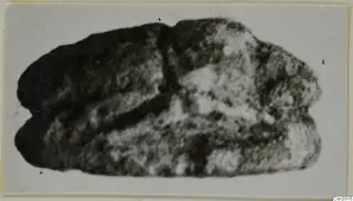 Blurred photograph of a stone scarab on a pale card mount