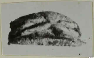 Glyptic from Ayia Irini: a stone object with dark and pale bands, seen from the side