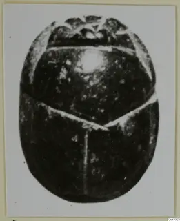 Dark stone scarab seal seen from above on a pale card, from the seals and gems series.
