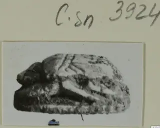 Stone scarab seal from Ayia Irini, shown in a photograph mounted on a card