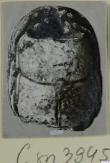 Scarab-shaped seal with a dark domed back and a pale flat base, shown in a photograph mounted on card