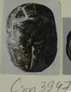 Oval dark seal or scarab with light incised lines, photographed on a grey mount with a handwritten number label