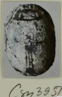 Scarab-shaped stone seal with a pale, speckled flat face, shown on a grey card mount