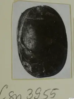 Dark oval scarab seal, shown in a print mounted on a pale card
