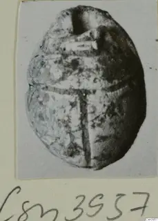 Scarab seal with a cross-shaped design on its base, photographed on a pale card mount