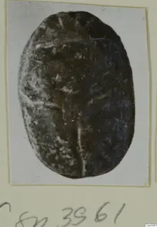 Oval dark scarab, a glyptic object, photographed on a small white card mount