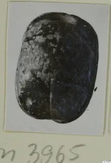 Scarab-shaped seal or gem with a dark, glossy surface, photographed on a white card
