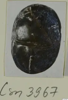 Oval glyptic object, dark and glossy, shown in a photograph mounted on a cream card with a handwritten number label