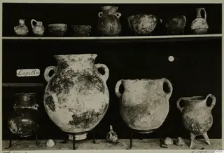 Jugs, bowls and large two-handled jars displayed on two shelves, labelled Lapithos, from Markides T.46 A.