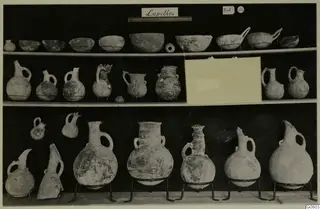 Jugs and bowls from Lapithos Markides, T.204, arranged in rows on three shelves against a dark background
