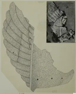 Stippled drawing of a leaf-shaped bronze mounting, with a photograph of its cracked fragments in the upper right corner