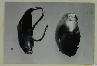Two dark, corroded metal jewellery pieces side by side: a flattened tube with a bent wire loop, and an oval bead-like object.