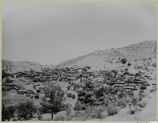 Village of low houses clustered on a dry hillside, with trees in the foreground and a mountain behind.