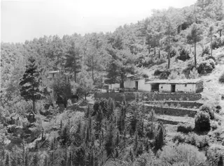 Whitewashed buildings with a tiled roof and stone terraces on a wooded hillside at Machairas, Troodos.