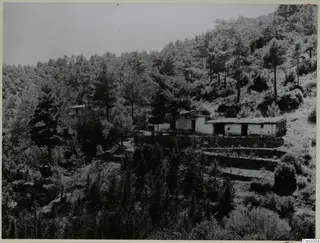 Whitewashed buildings with tiled roofs among pine trees on a wooded mountainside at Machairas, Troodos.