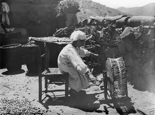 Person seated at a wooden frame with a wicker drum, working in a yard beside a stone wall with baskets and spread seeds nearby.
