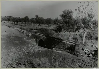 Stone vault with a round-arched opening beside a dirt track, with trees and scrub behind