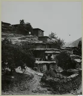 Stone and mud-walled village houses stacked on a hillside among trees, with a dirt path climbing past them.