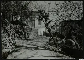 Dirt street at Lapithos with a stone wall, a whitewashed building with steps, and a bare tree.