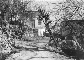Dirt street at Lapithos lined by a dry-stone wall, a bare tree and whitewashed buildings