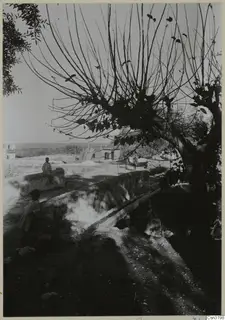 Two children by a stone wall and channel beside a bare-branched tree, with buildings and sea in the distance