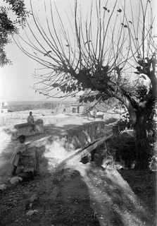 Low stone wall beside a bare tree, with a child standing at the wall and another person seated on a low ledge