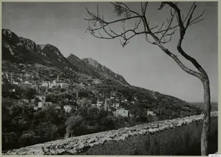 Hillside village of Lapithos with white houses, terraced slopes and a bare tree in the foreground.