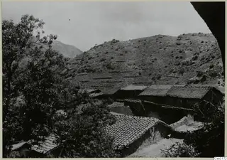 Tiled-roof houses of Lazania on a terraced hillside, with a large tree in the foreground and mountains behind.